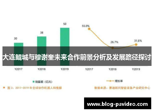 大连鲲城与穆谢奎未来合作前景分析及发展路径探讨