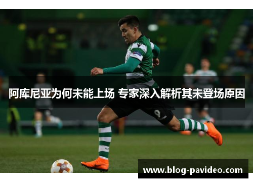 阿库尼亚为何未能上场 专家深入解析其未登场原因