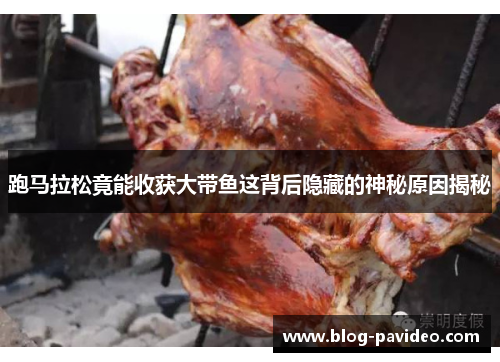 跑马拉松竟能收获大带鱼这背后隐藏的神秘原因揭秘