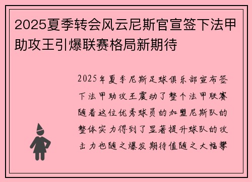 2025夏季转会风云尼斯官宣签下法甲助攻王引爆联赛格局新期待
